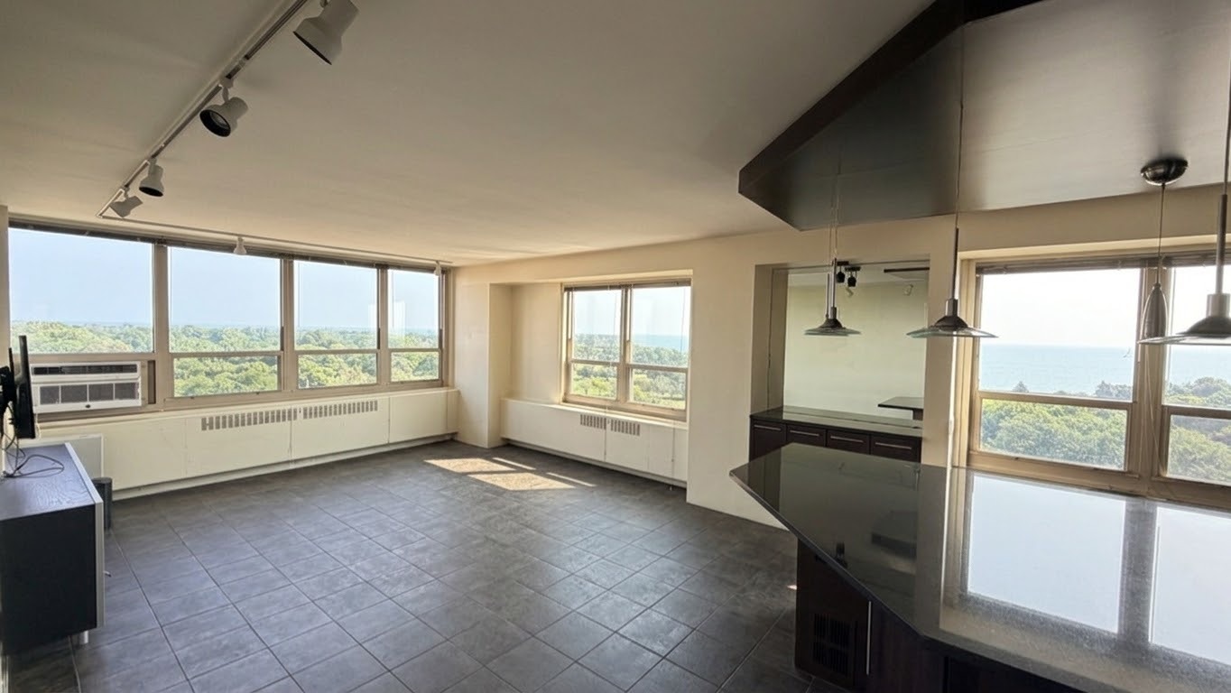 3950 N Lake Shore Drive 1100a Property Photo 2