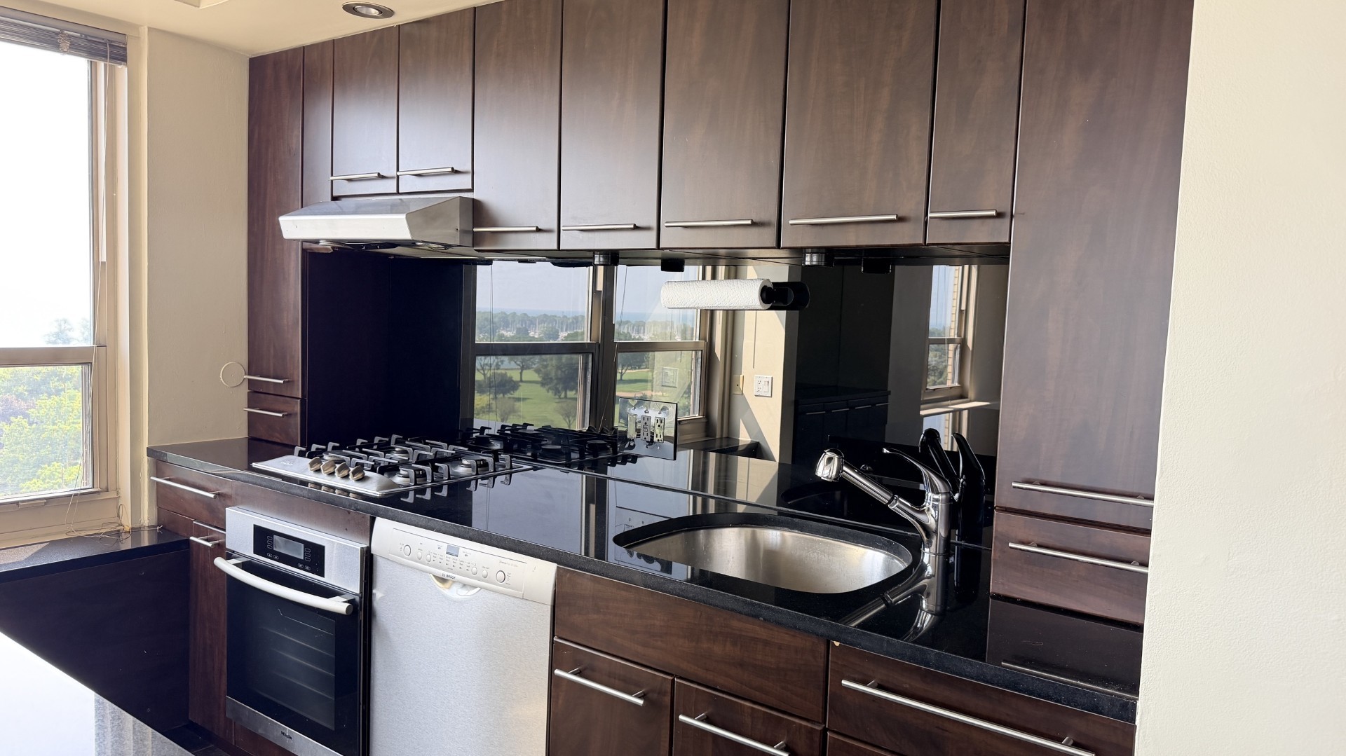3950 N Lake Shore Drive 1100a Property Photo 6