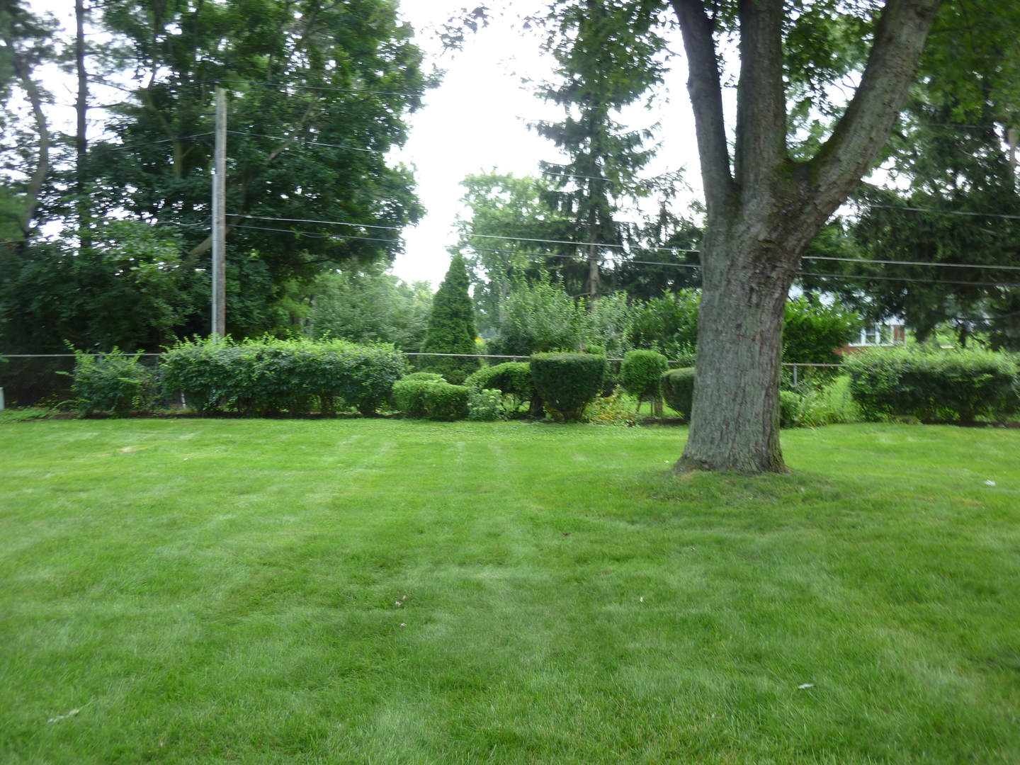 21w651 Glen Valley Drive Property Photo 28