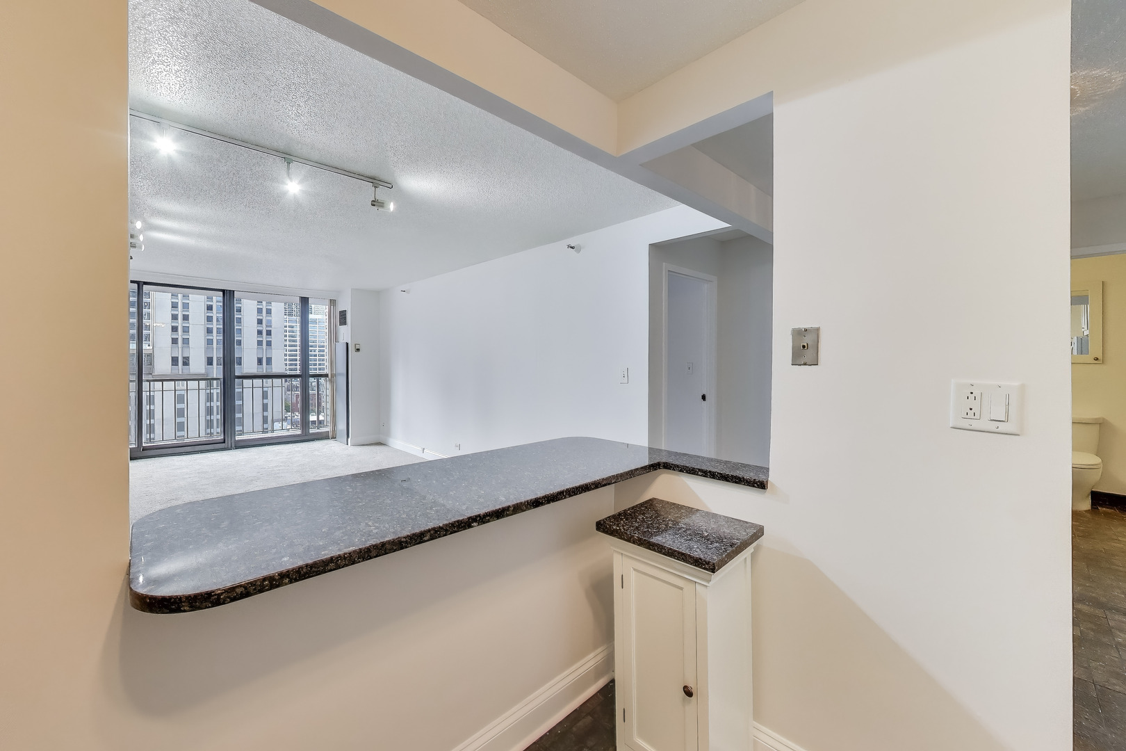 10 E Ontario Street 1303 Property Photo 10
