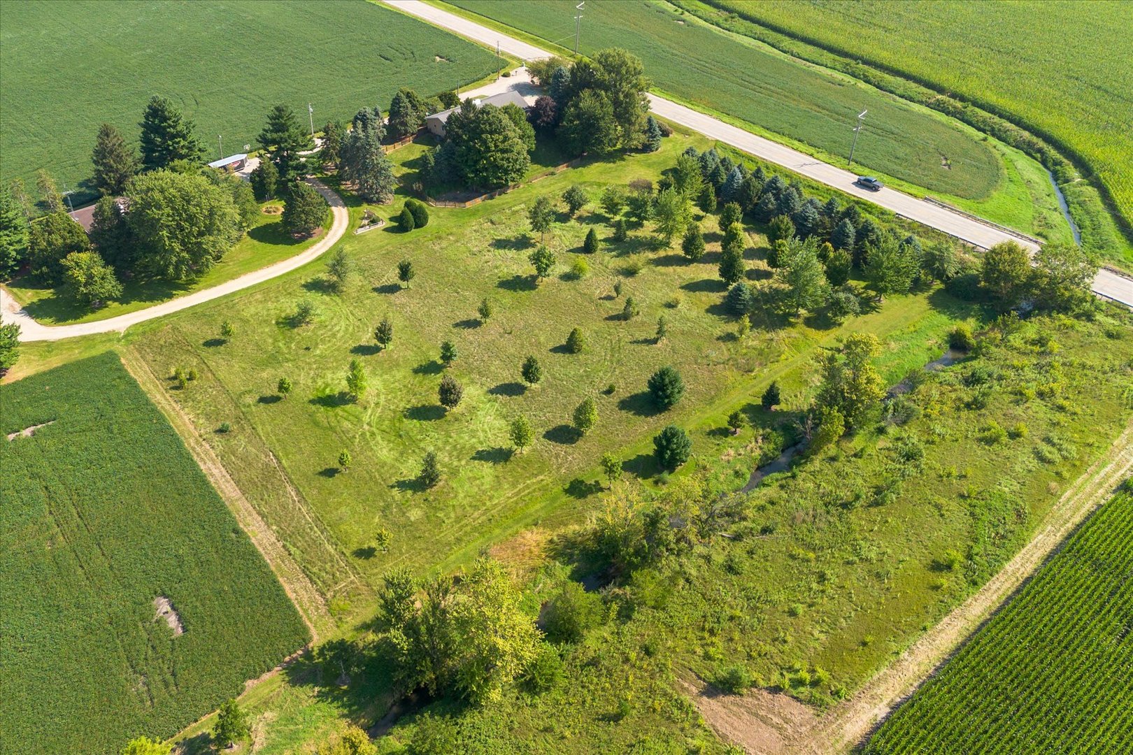 18491 Il Highway 89 Property Photo 6