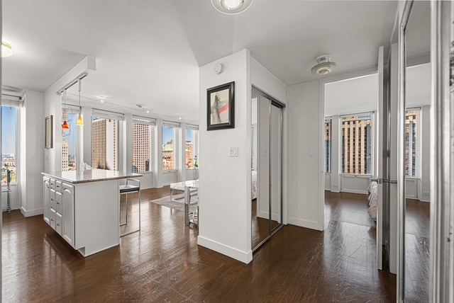 100 E Walton Street 27h Property Photo 4