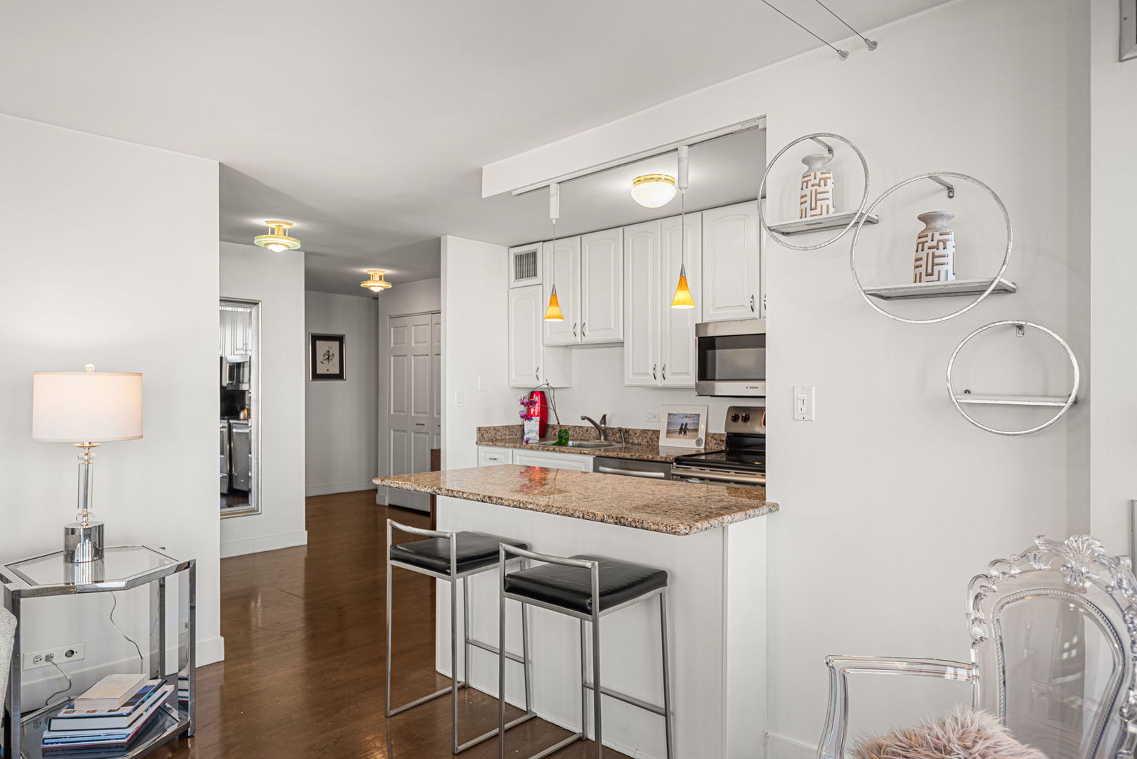 100 E Walton Street 27h Property Photo 7