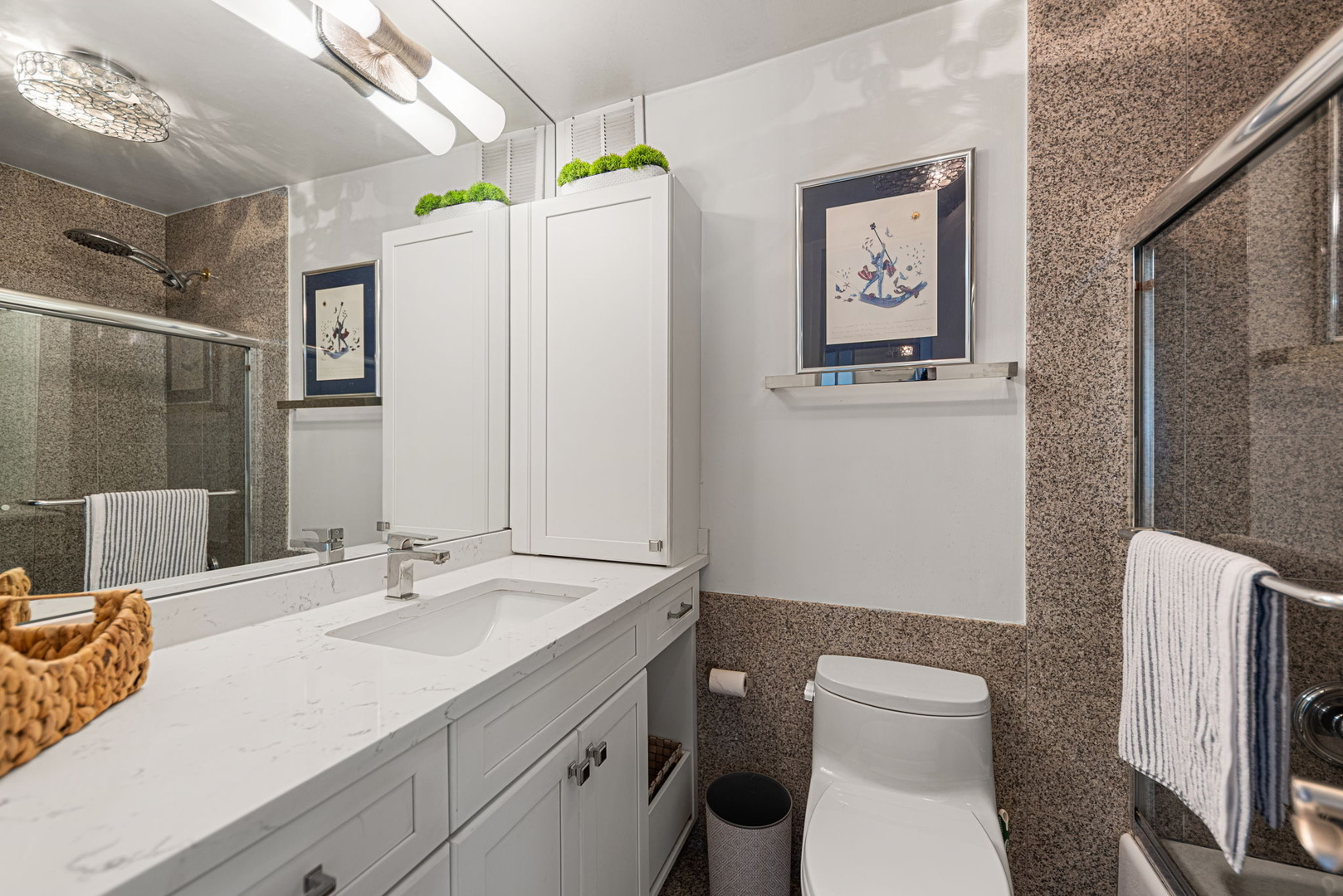 100 E Walton Street 27h Property Photo 11