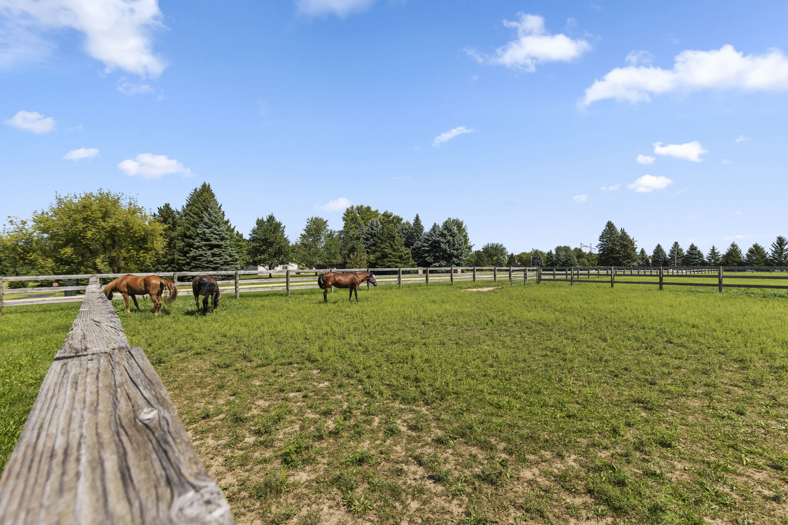 6649 E Oak Hill Road Property Photo 35