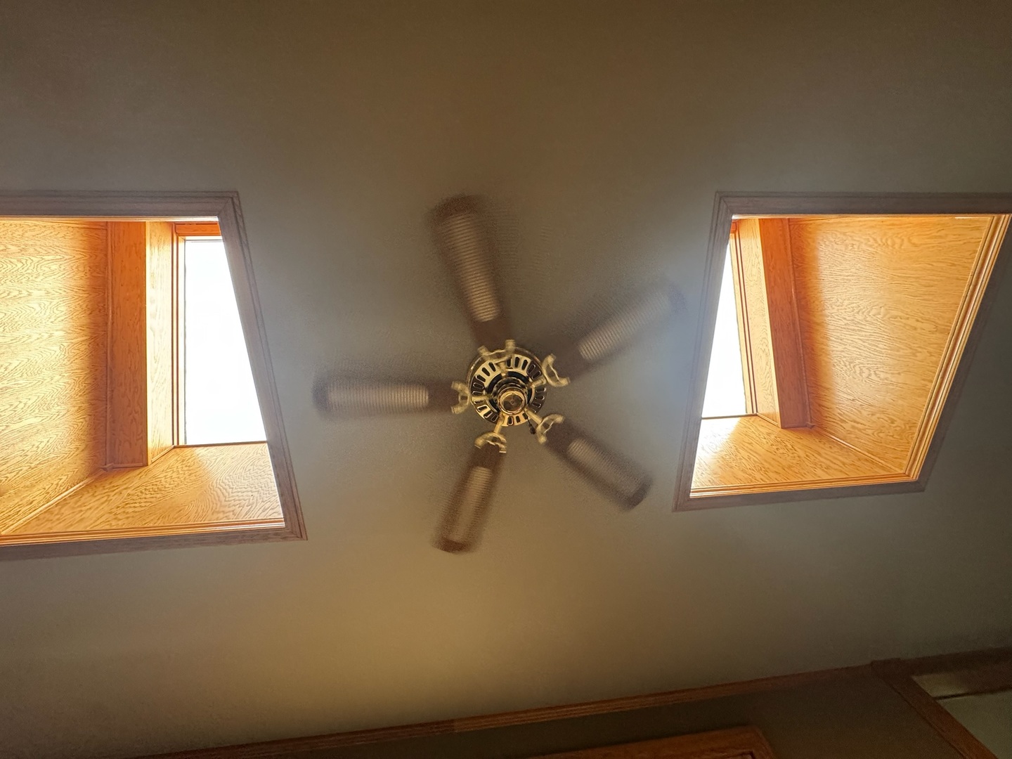 1802 Walnut Circle Property Photo 8
