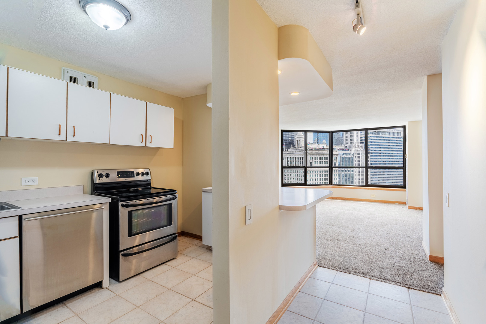 405 N Wabash Avenue 2207 Property Photo 6