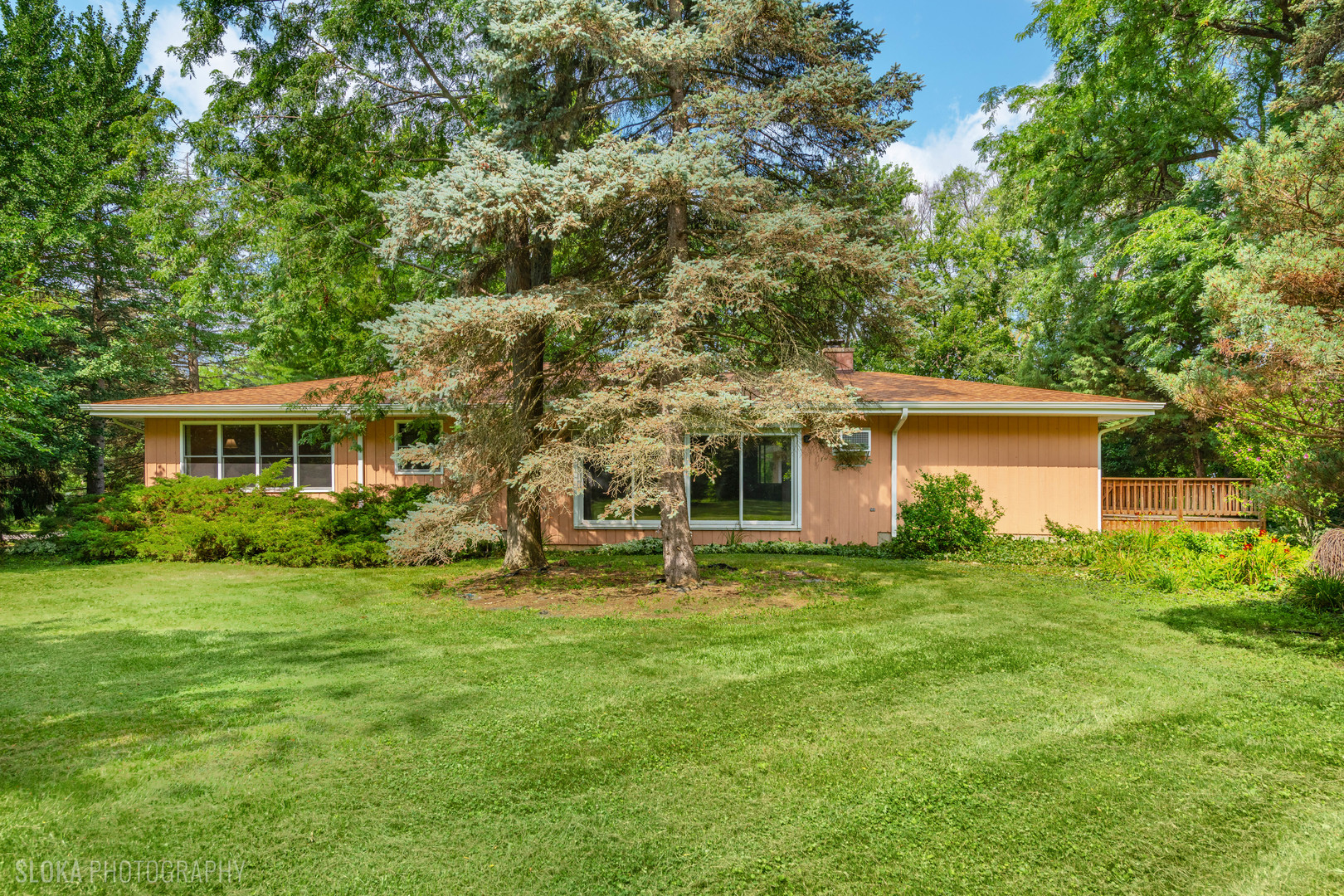 36461 N Us Highway 45 Property Photo 19