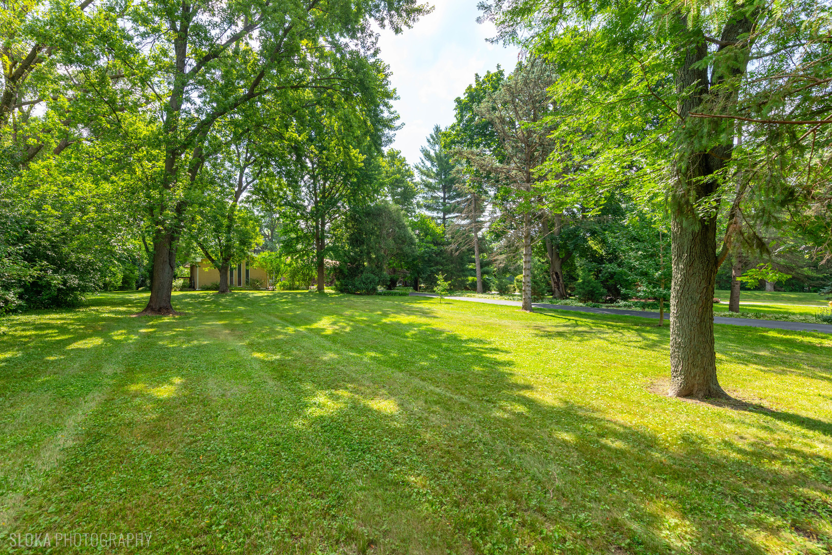 36461 N Us Highway 45 Property Photo 20