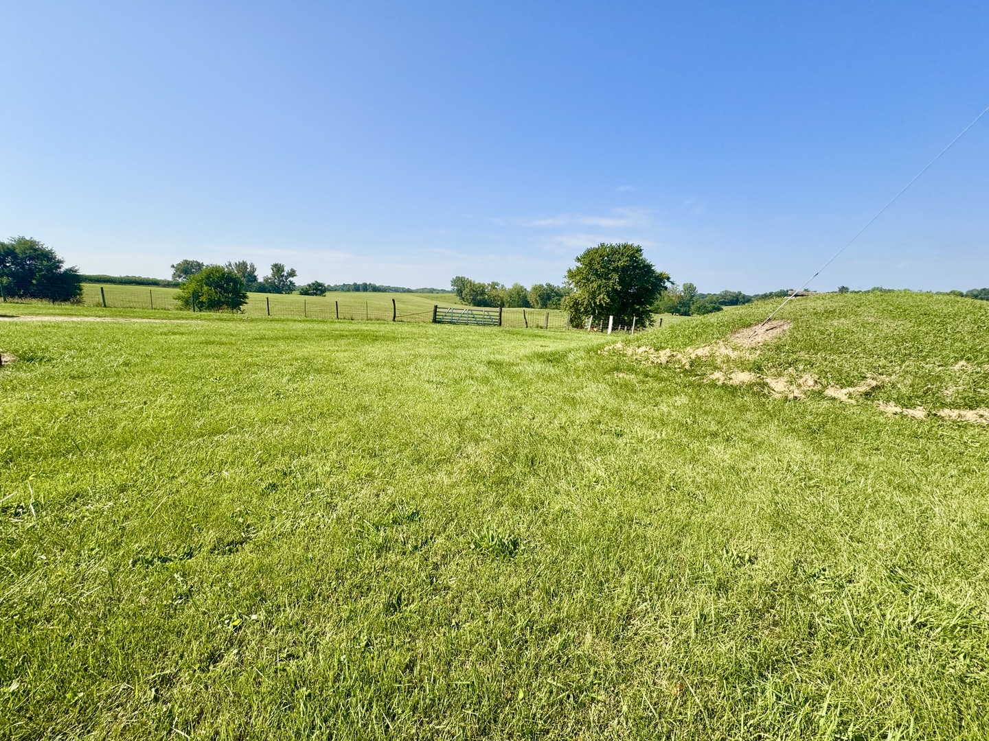 2531 115th Avenue Property Photo 9