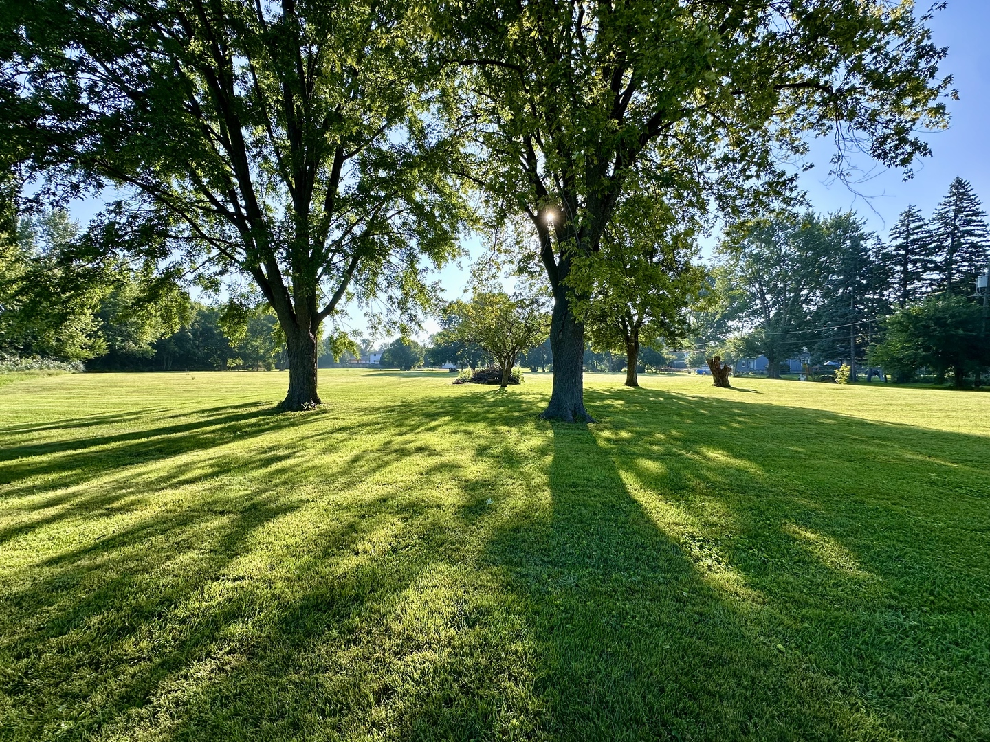 000 Shinkle Avenue Property Photo 1