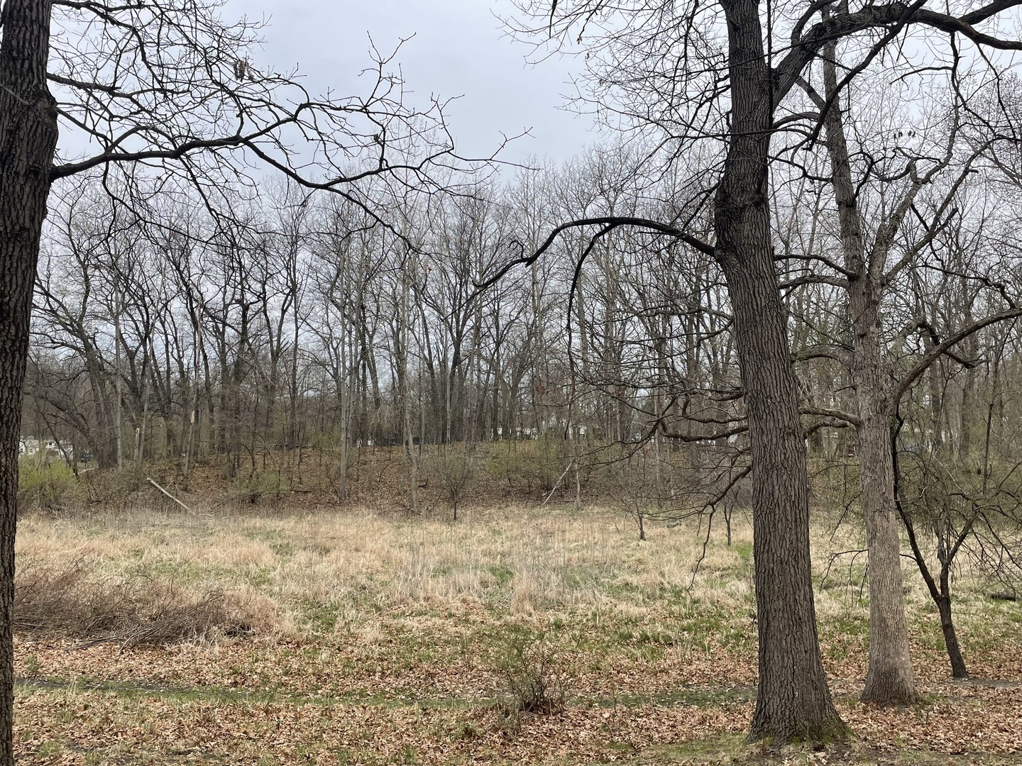 12-13 Woodhaven Lakes Property Photo 7