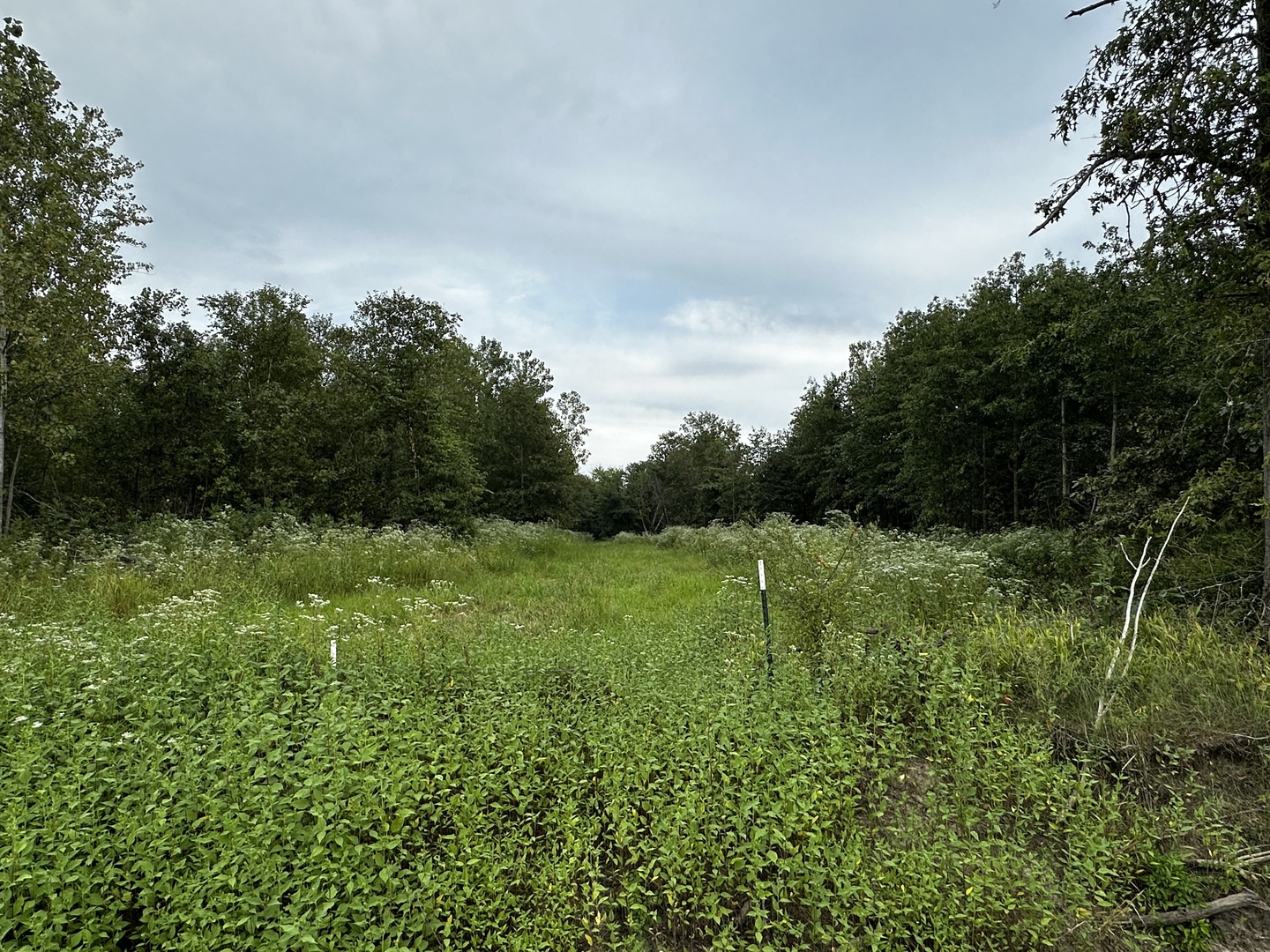 000 2600 E Property Photo 3