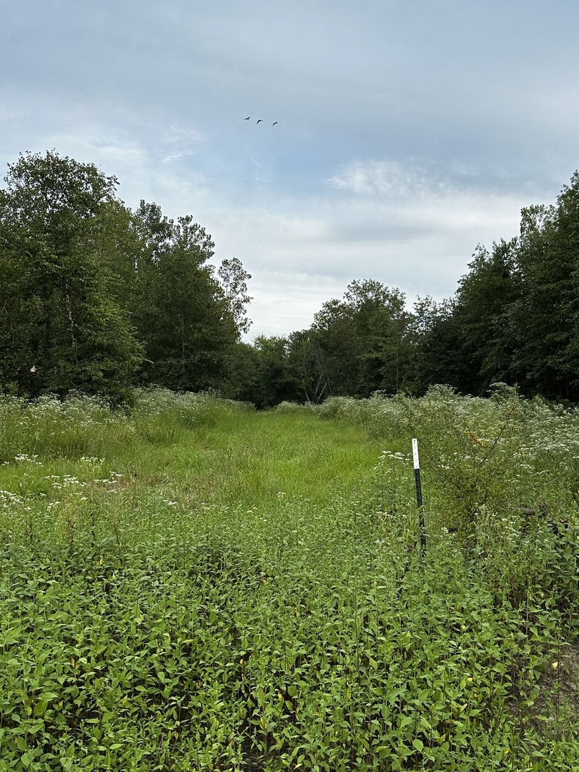 000 2600 E Property Photo 11