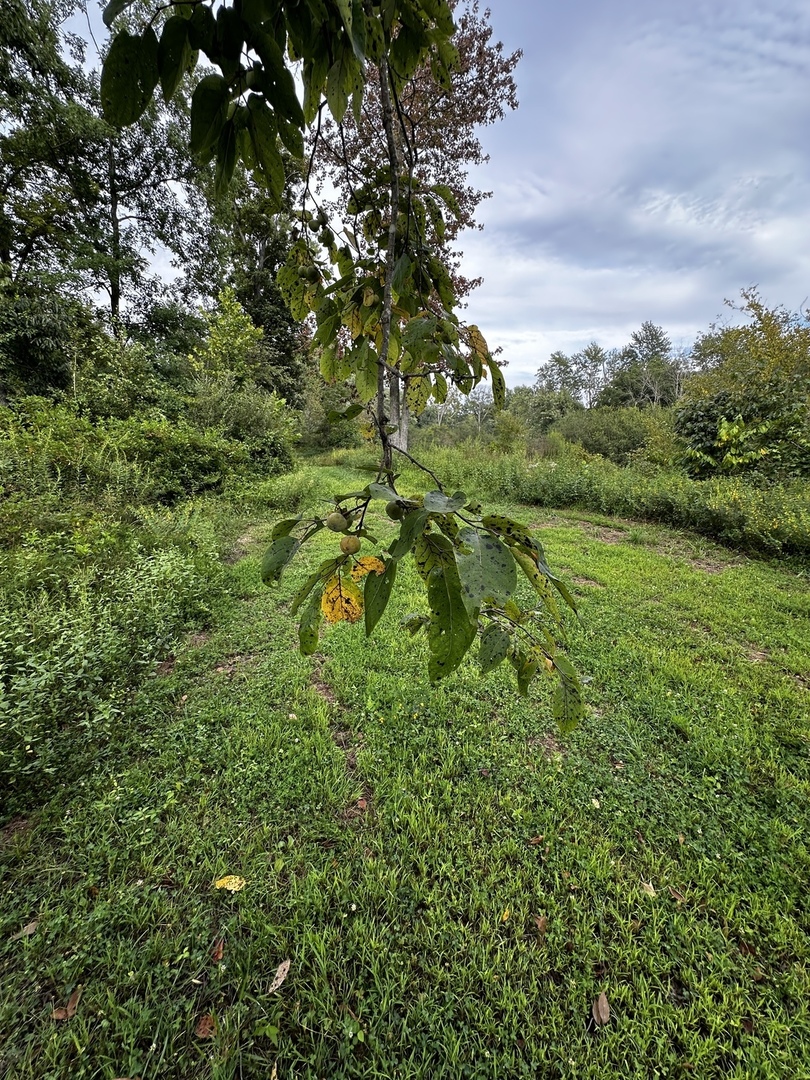 000 2600 E Property Photo 20