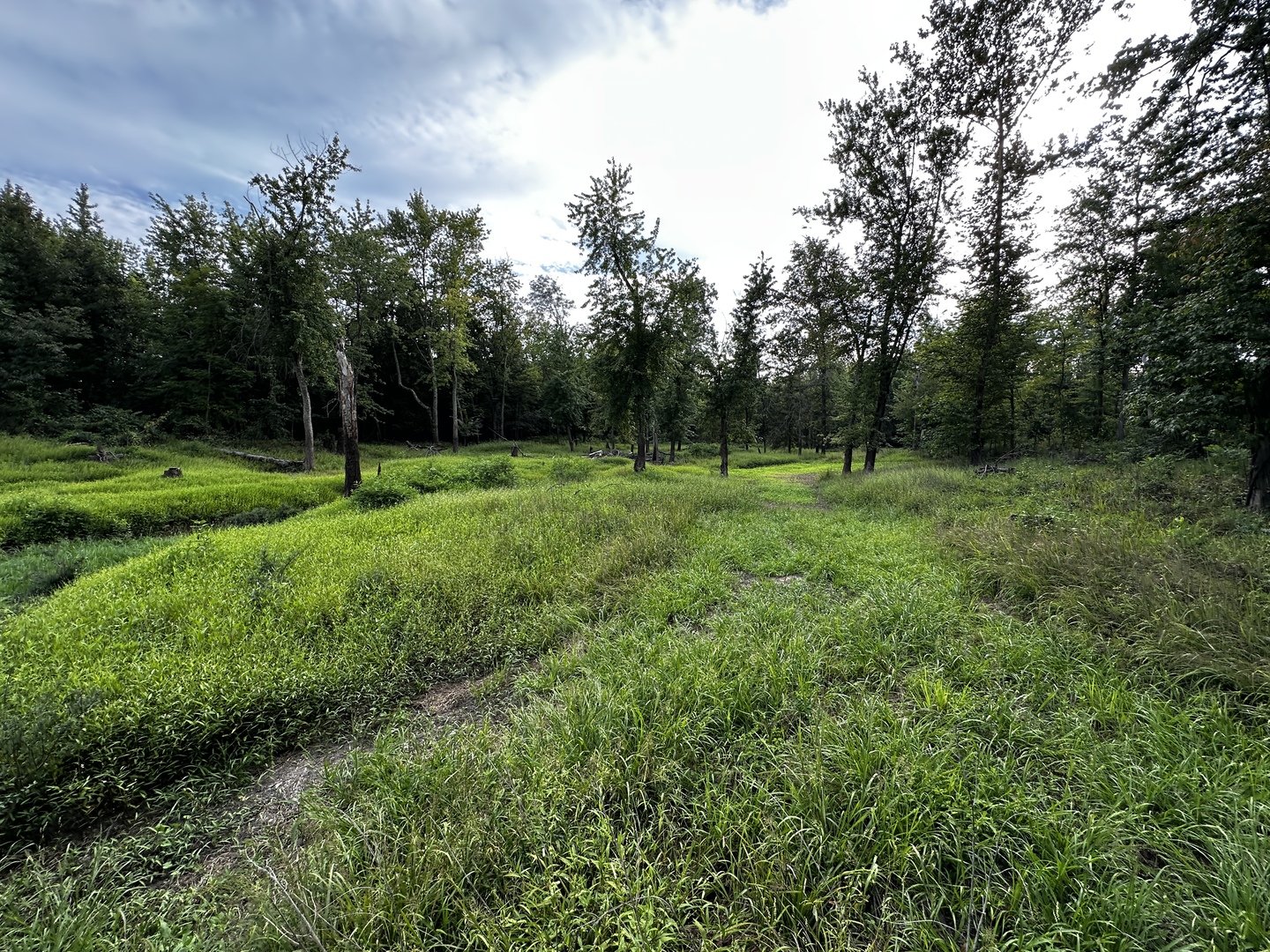 000 2600 E Property Photo 25