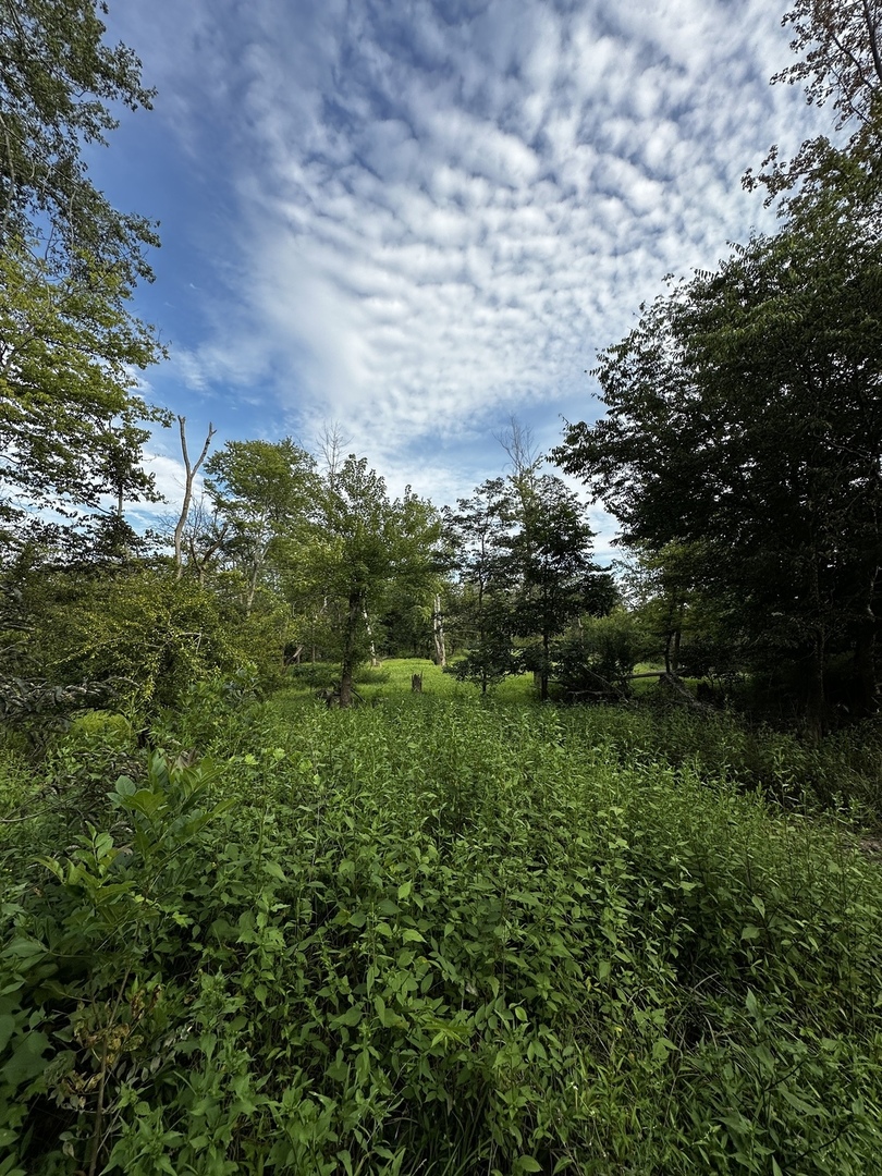 000 2600 E Property Photo 28