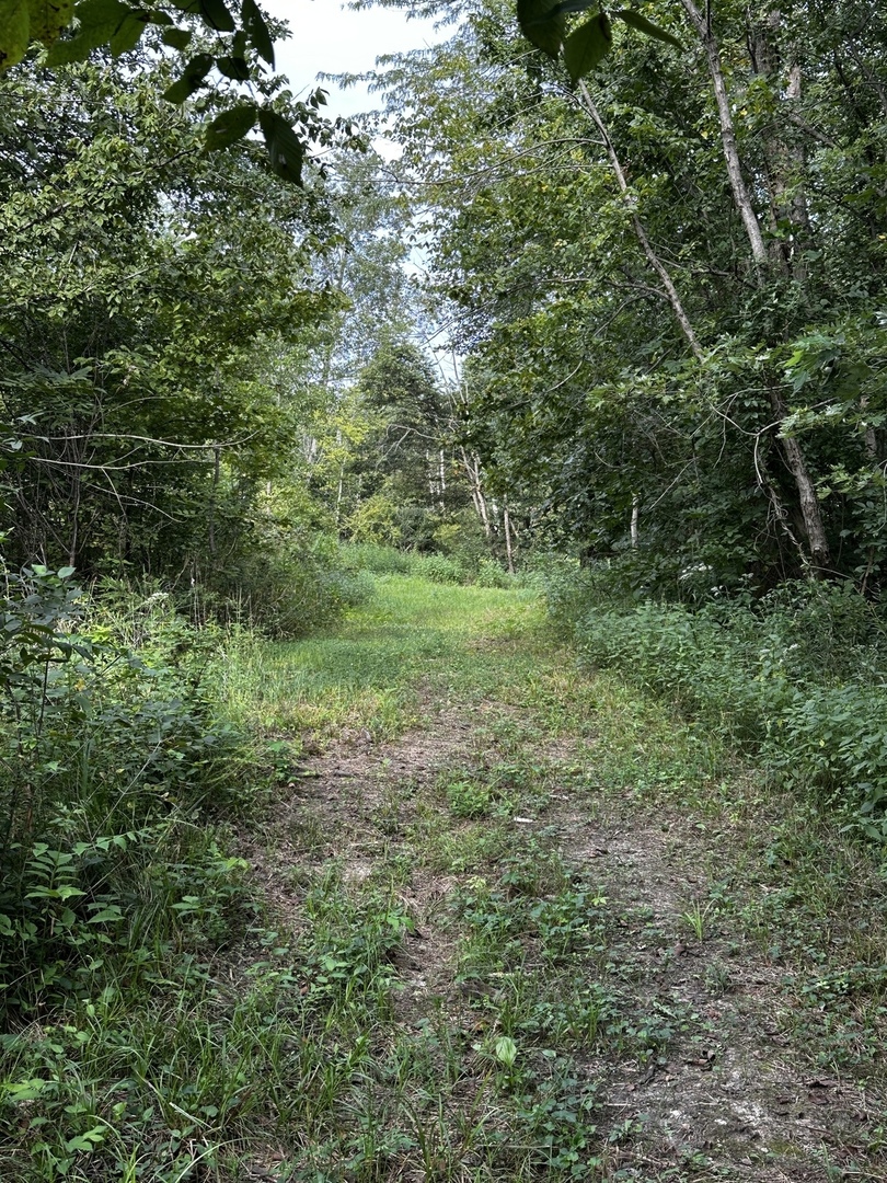 000 2600 E Property Photo 29