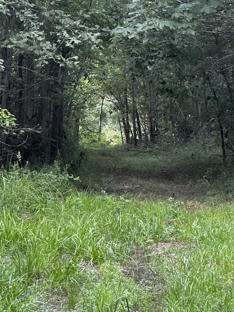 000 2600 E Property Photo 33
