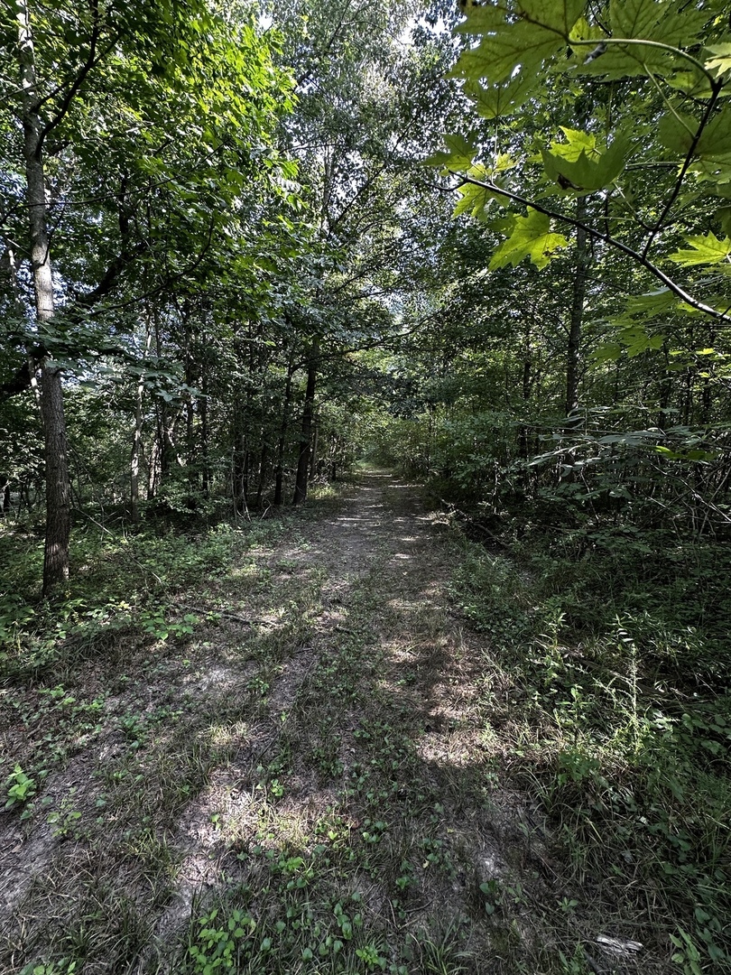 000 2600 E Property Photo 46