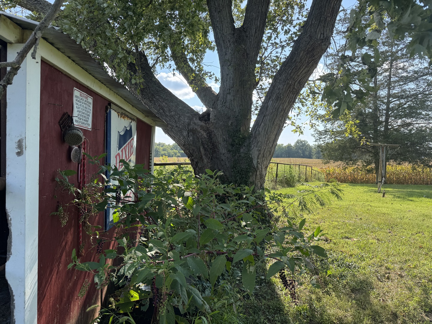 14496 Summers Road Property Photo 11