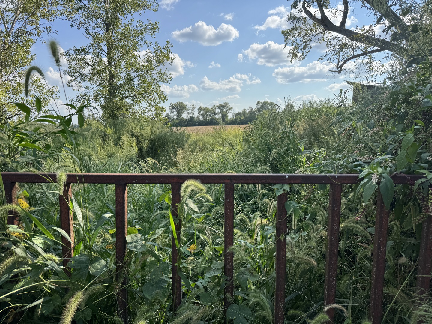 14496 Summers Road Property Photo 13