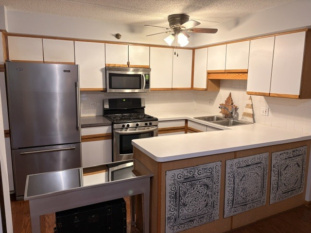 6701 N Milwaukee Avenue 303 Property Photo 12