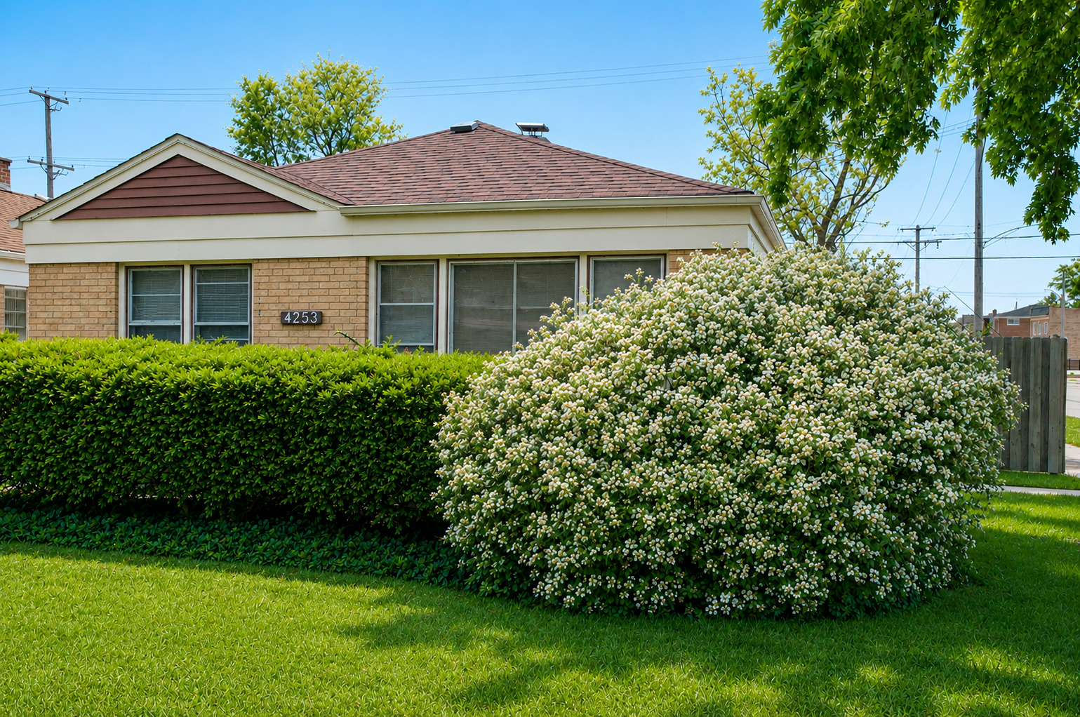 4253 Prescott Avenue Property Photo 1