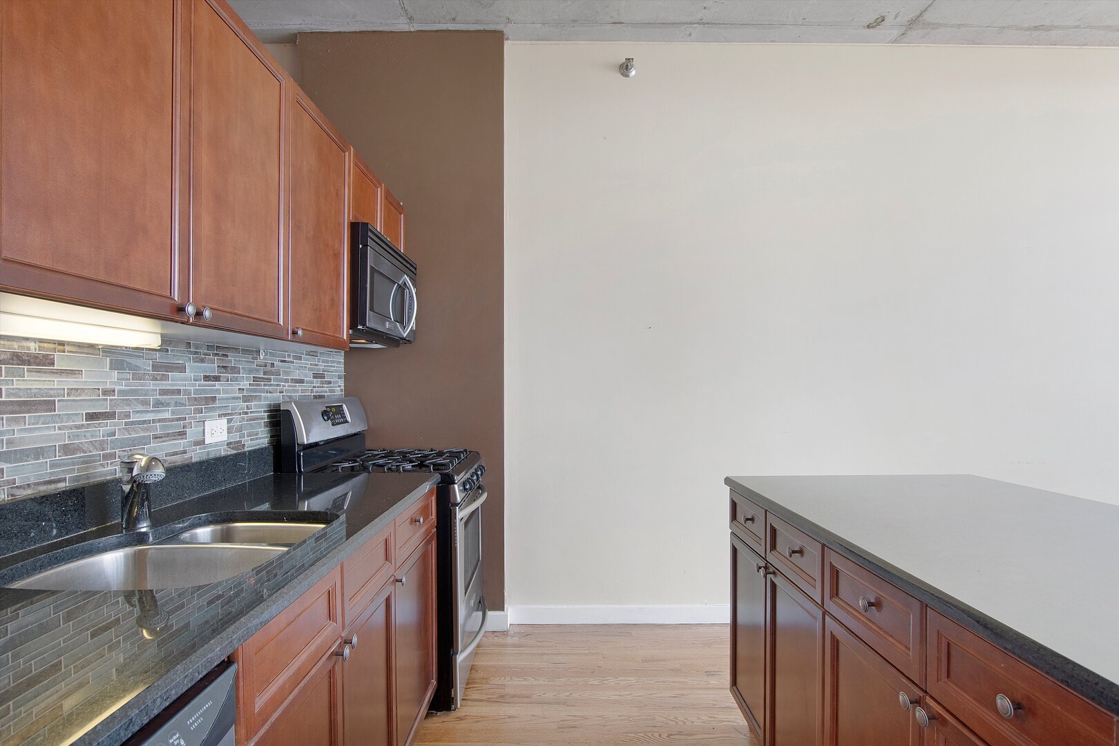 1720 S Michigan Avenue 1812 Property Photo 4