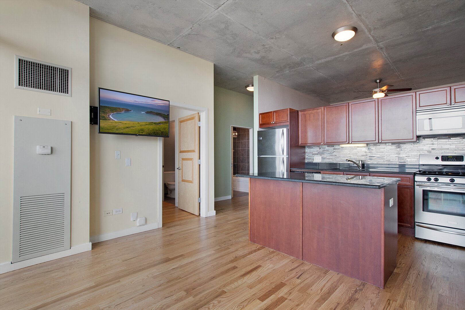 1720 S Michigan Avenue 1812 Property Photo 2