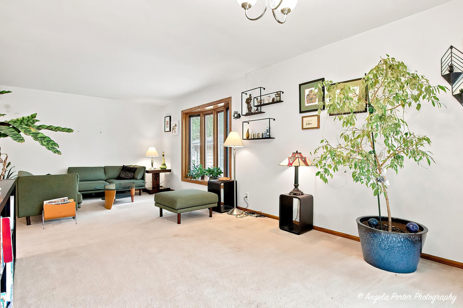 210 Maplewood Drive Property Photo 14