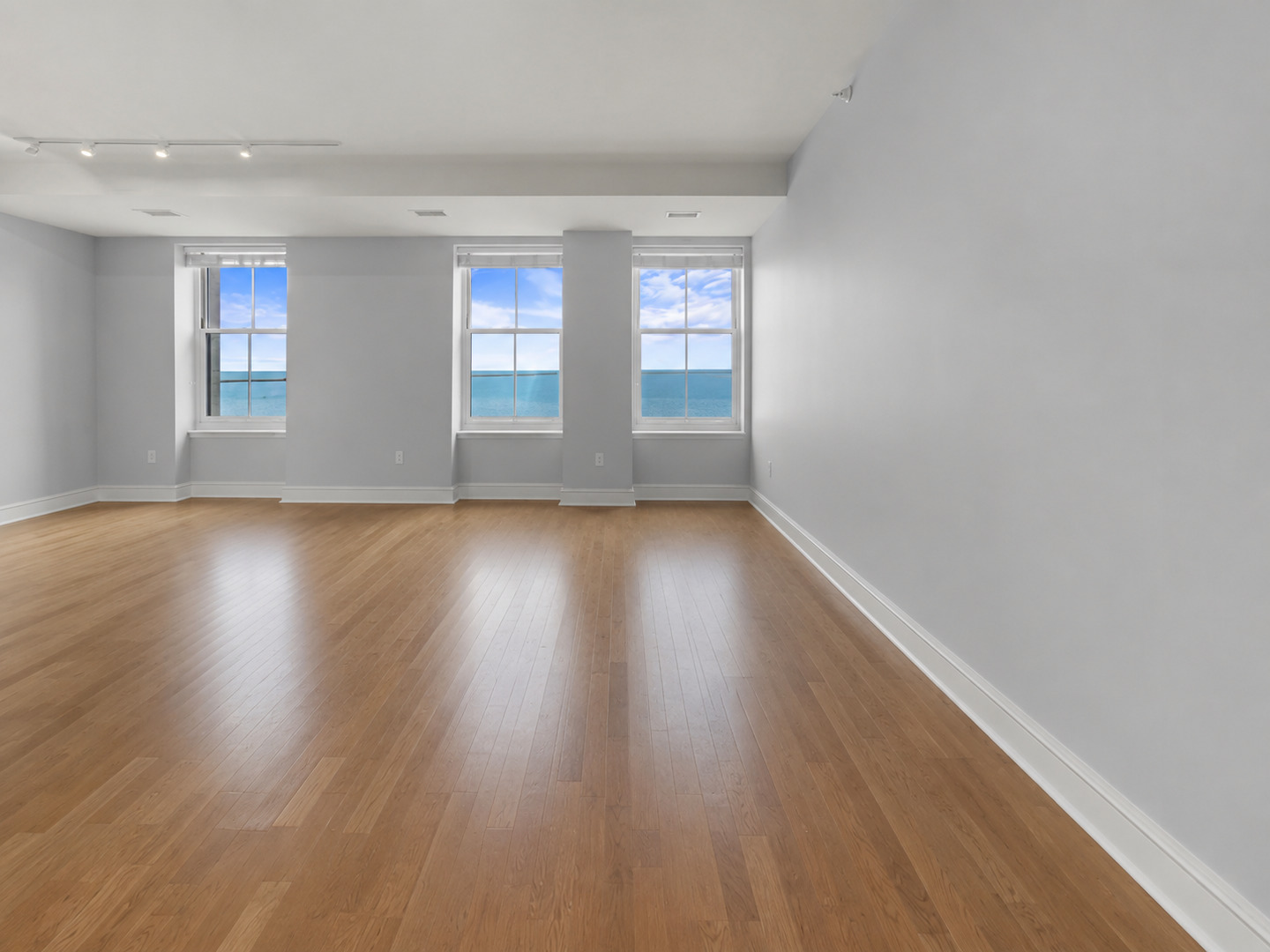 850 N Lake Shore Drive 203 Property Photo 3