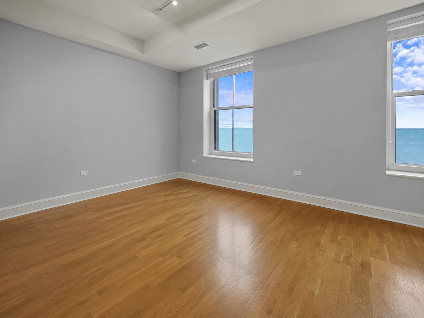 850 N Lake Shore Drive 203 Property Photo 5