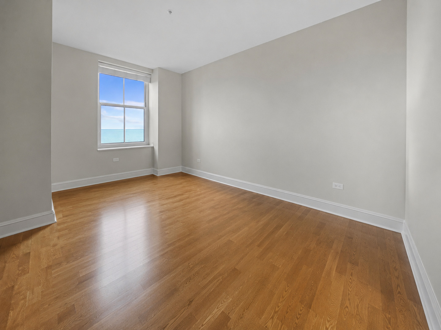 850 N Lake Shore Drive 203 Property Photo 6