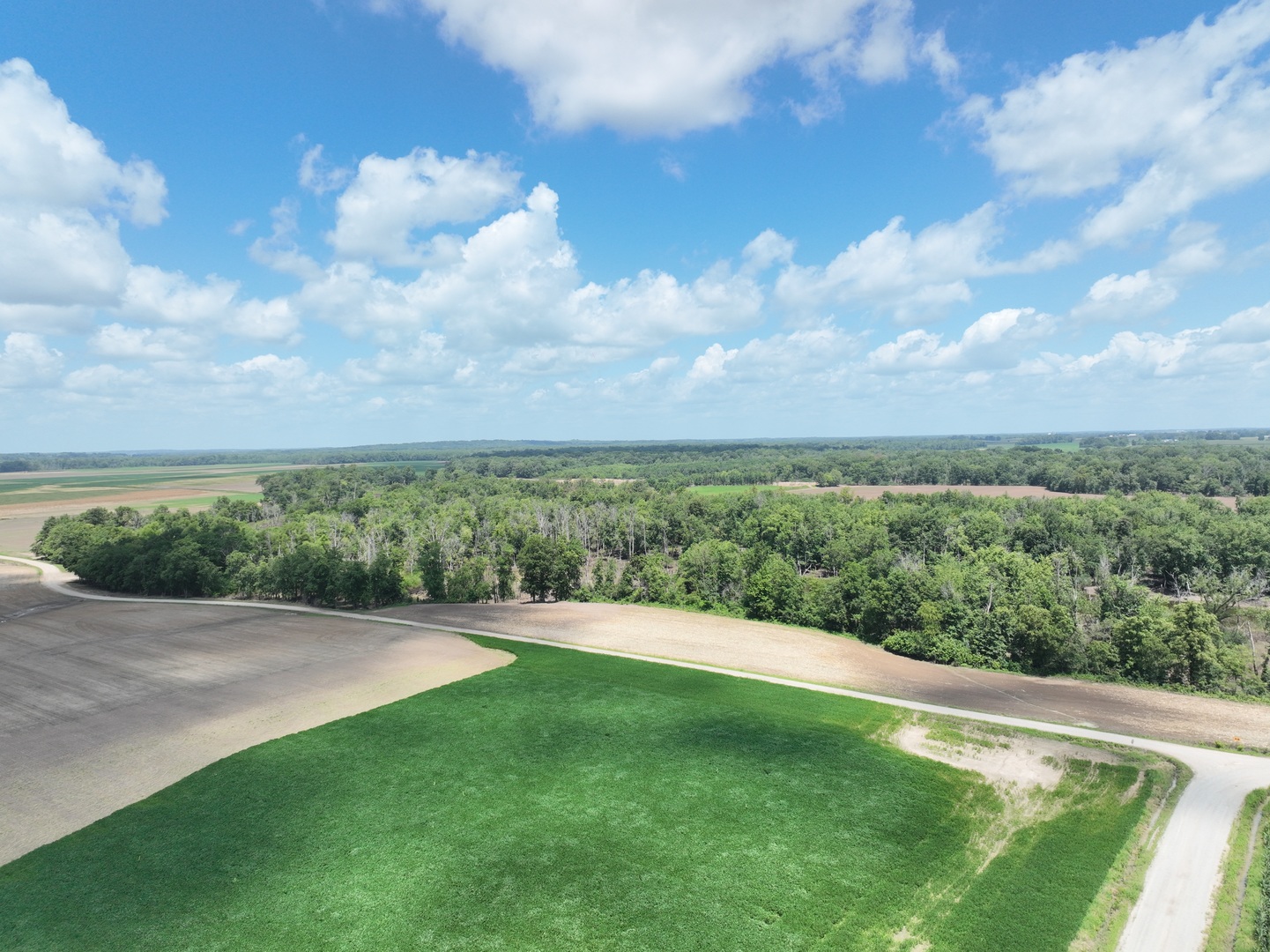 12746423 Property Photo 11