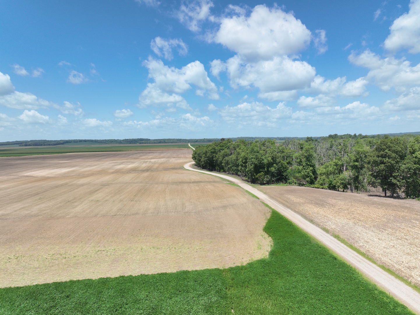 12746423 Property Photo 12