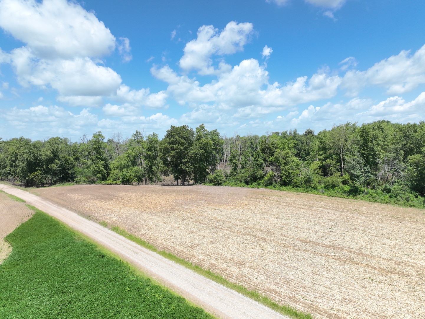 12746423 Property Photo 13