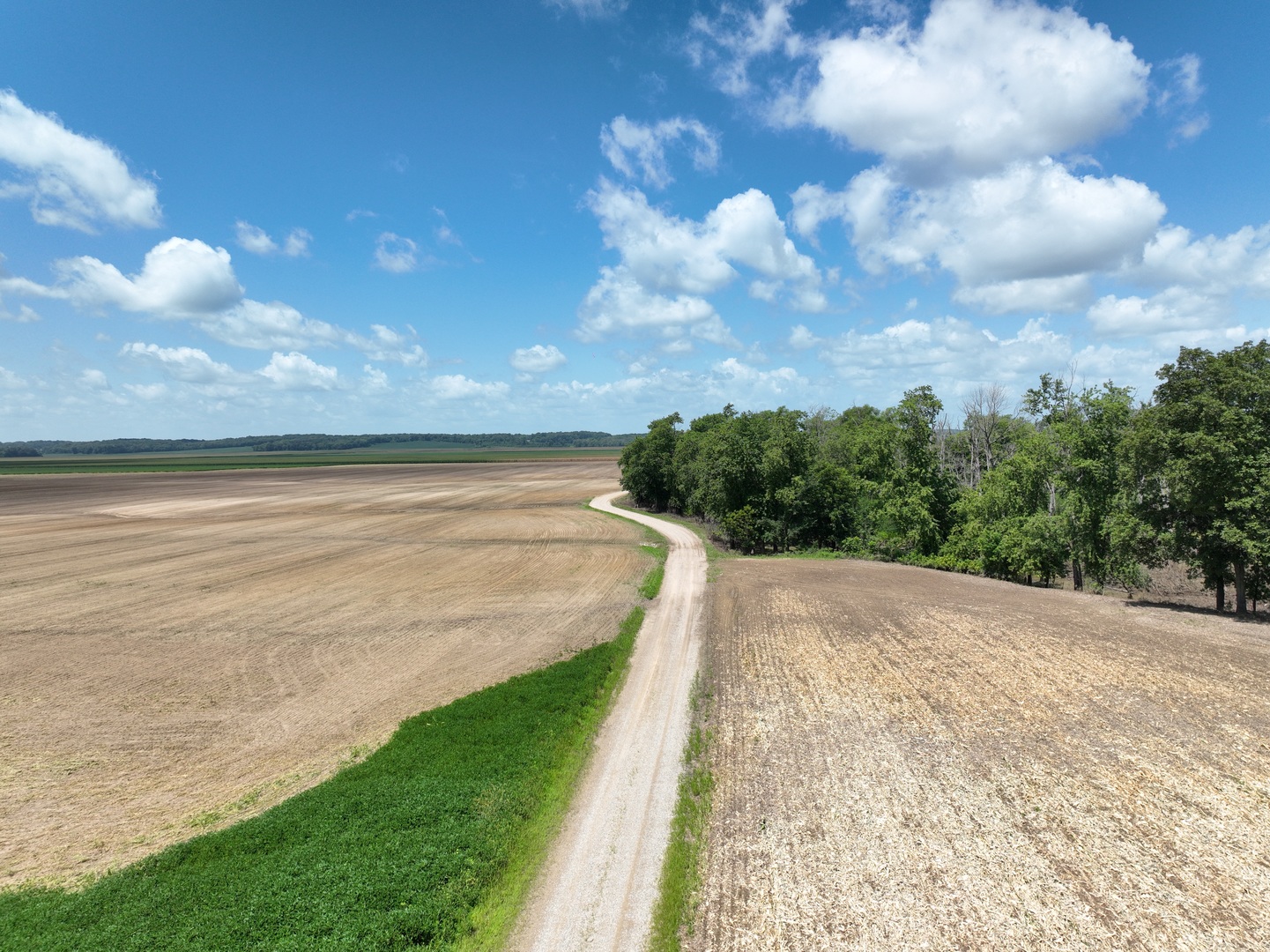 12746423 Property Photo 14