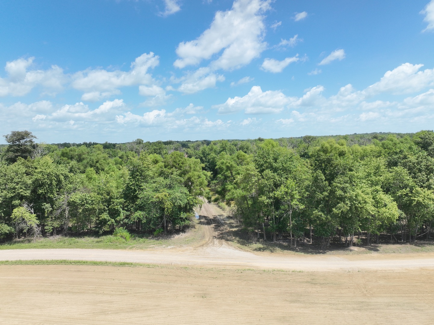 12746423 Property Photo 15