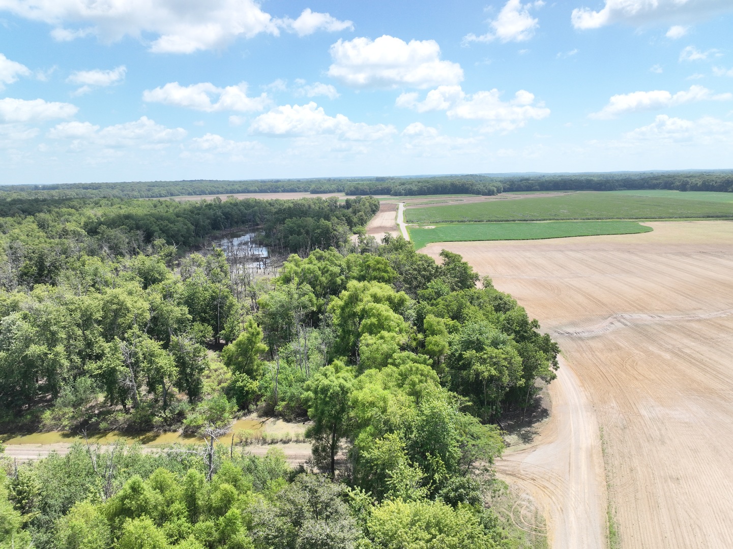 12746423 Property Photo 16