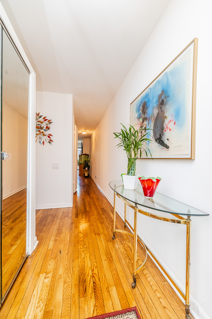 3700 N Lake Shore Drive 303 Property Photo 6