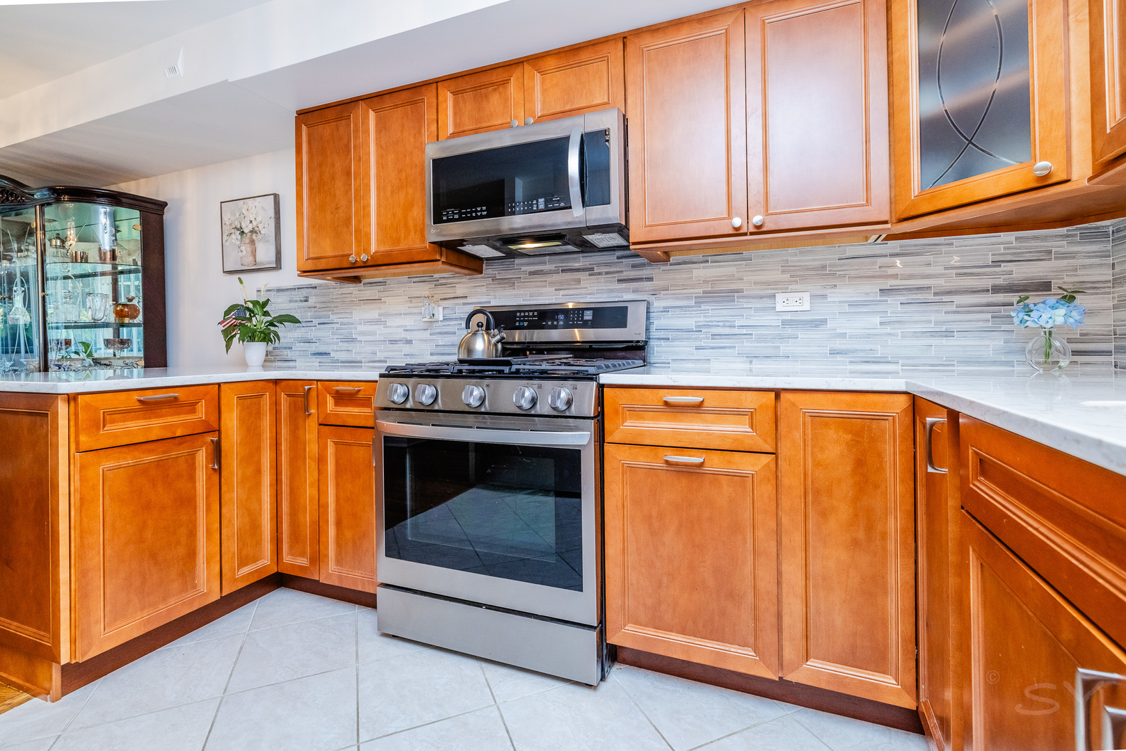 3700 N Lake Shore Drive 303 Property Photo 9