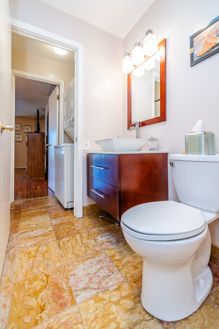 3700 N Lake Shore Drive 303 Property Photo 29