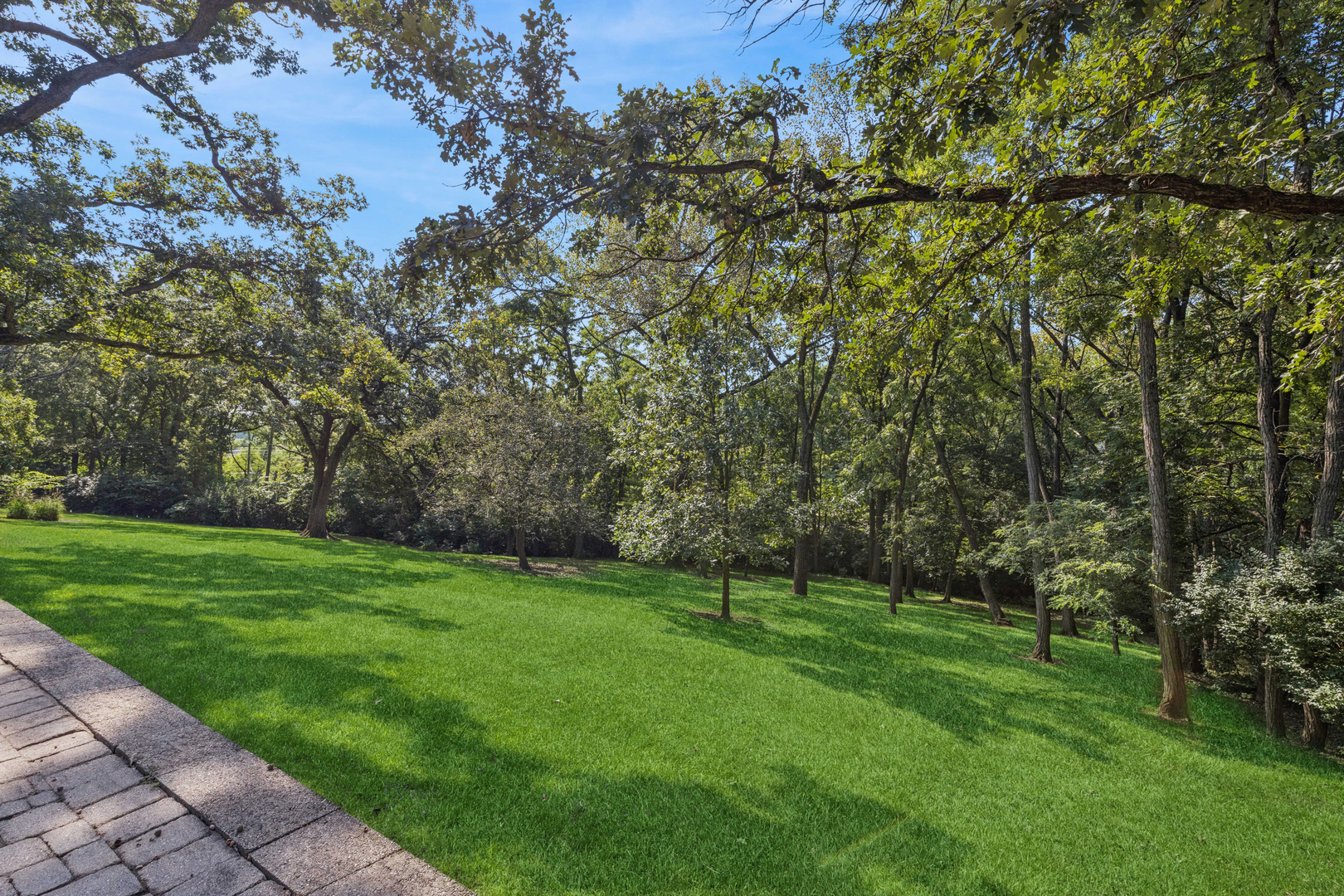 1113 Crane Drive Property Photo 29