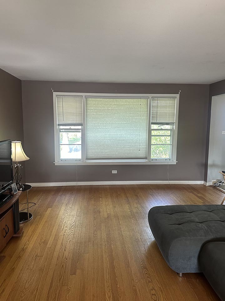 11804 S Kolin Avenue Property Photo 3