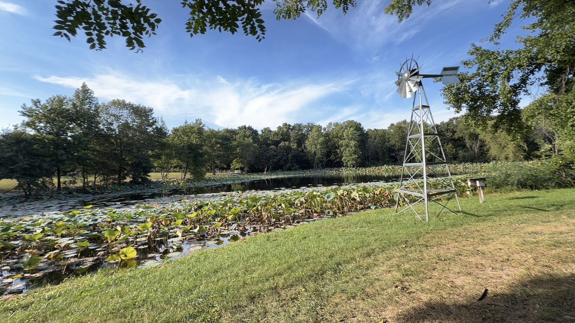 5378 E Houston Road Property Photo 37