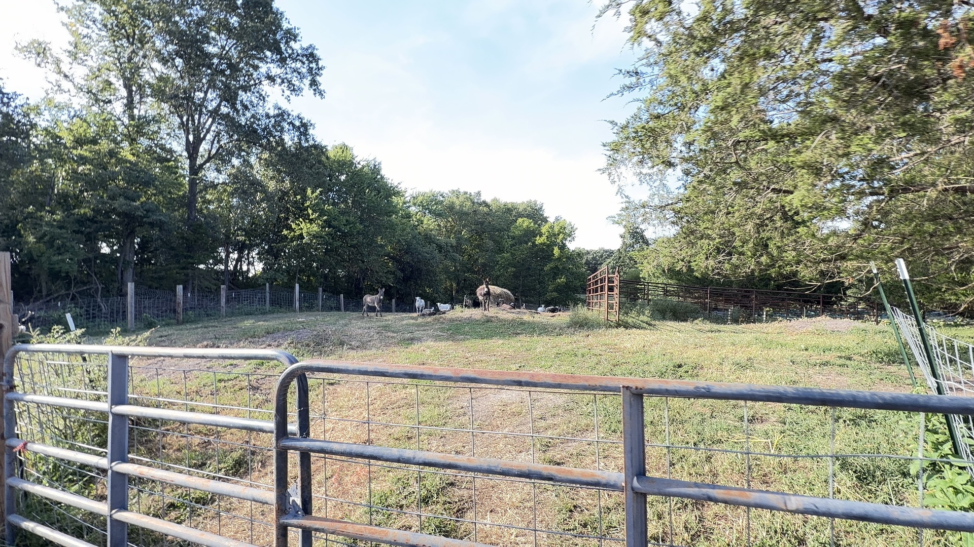 5378 E Houston Road Property Photo 51