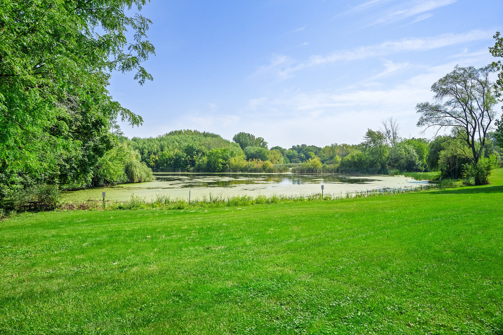 12746849 Property Photo 23