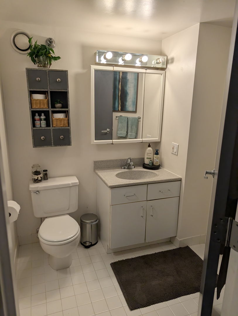 124 W Polk Street 504 Property Photo 11