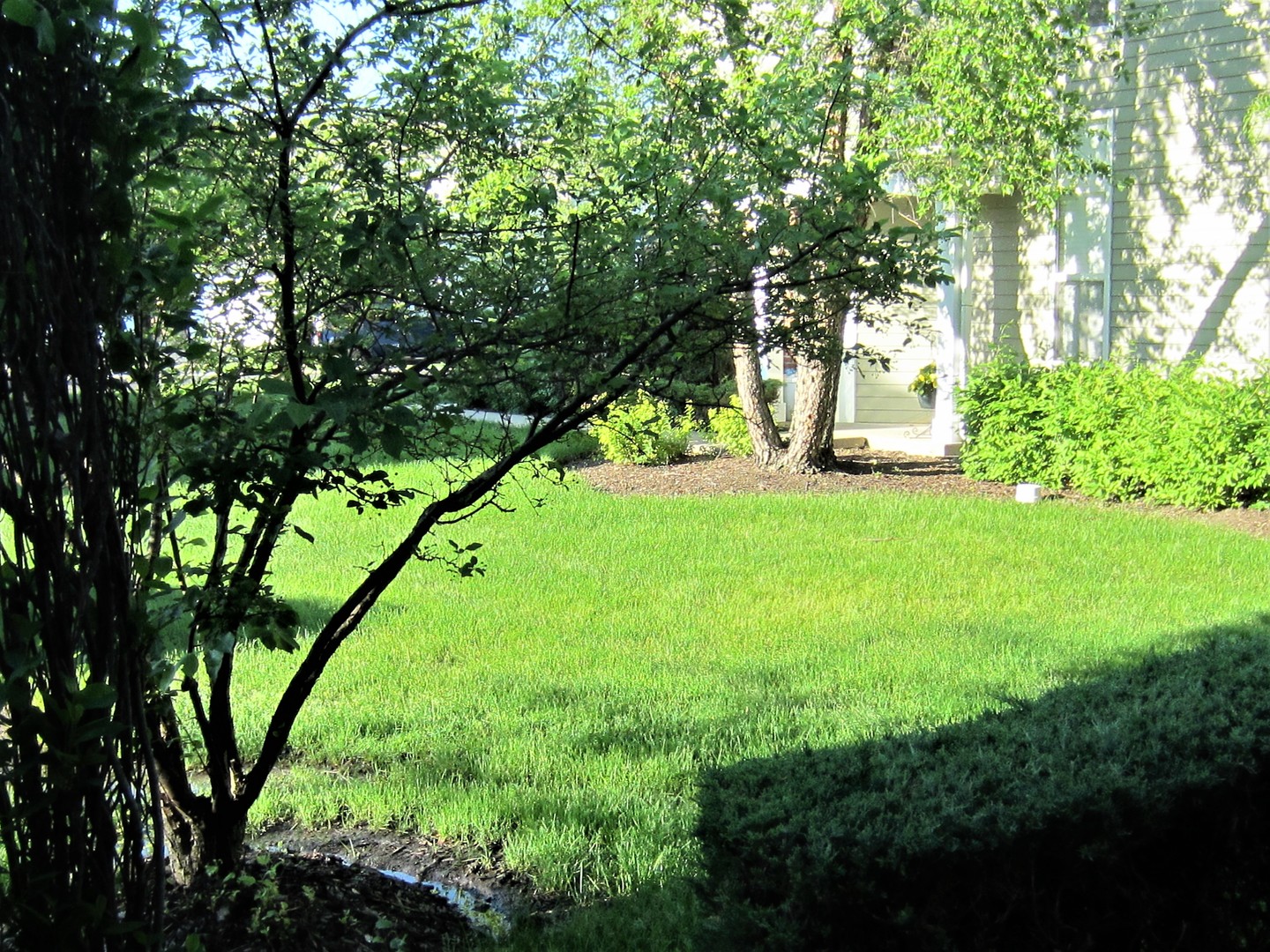 1560 E Chivalry Court Property Photo 20